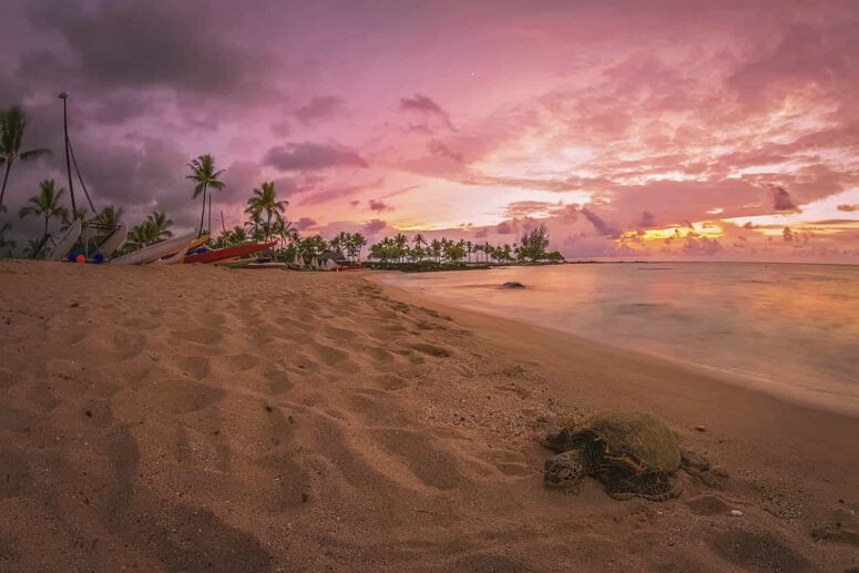 Äventyrliga saker att göra på Big Island of Hawaii